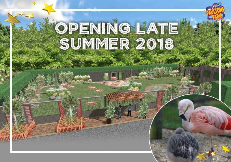 New Flamingo Enclosure at Paultons Park
