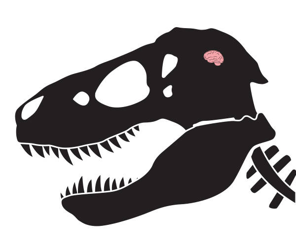 dinosaur-skull-brain
