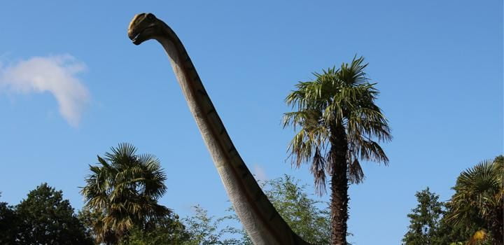 An Argentinosaurus towering over the Lost Kingdom.