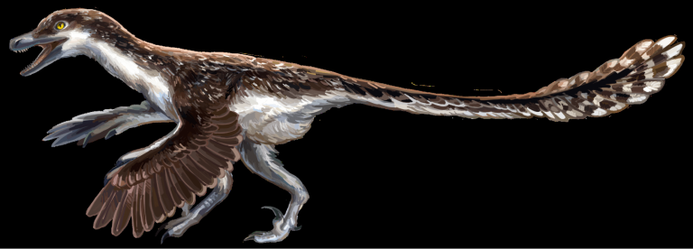 Amazing velociraptor facts! They aren’t like in the movies