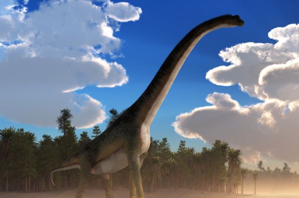 What do you call a dinosaur with a long neck? - Paultons Park