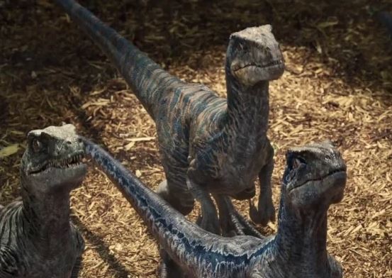9 Facts about the Jurassic Park Velociraptors - Paultons Park